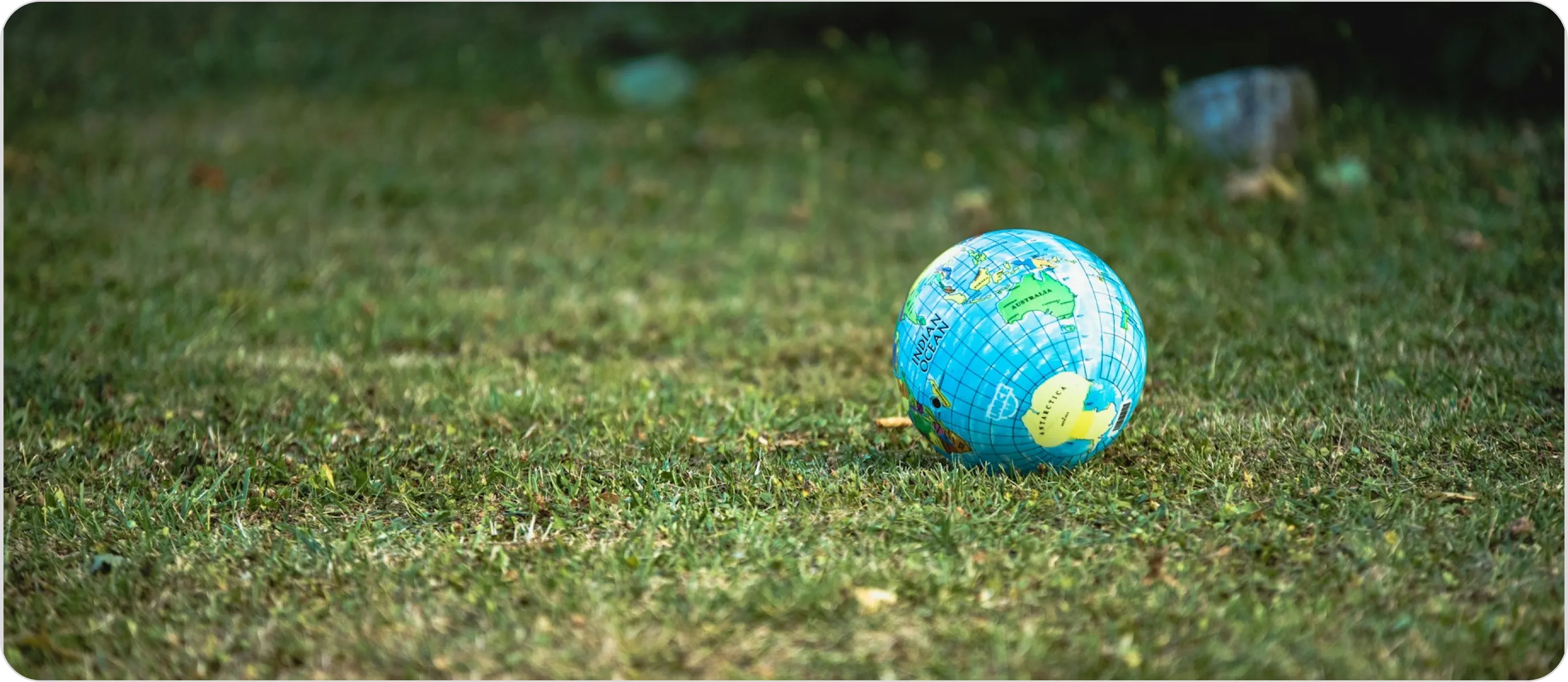 Sustainable Software: How Green IT Reduces Your Carbon Footprint